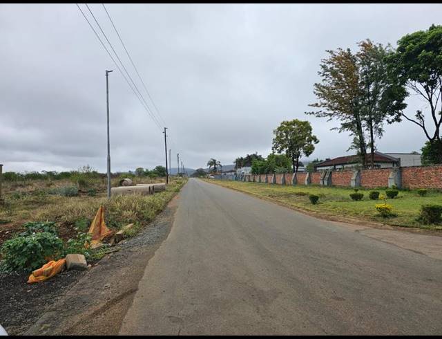 LAND FOR SALE IN LOUIS TRICHARDT